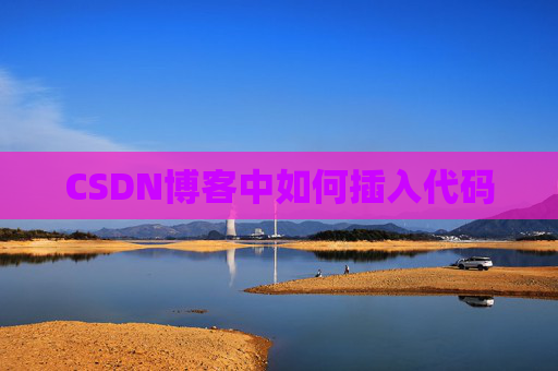 CSDN博客中如何插入代码